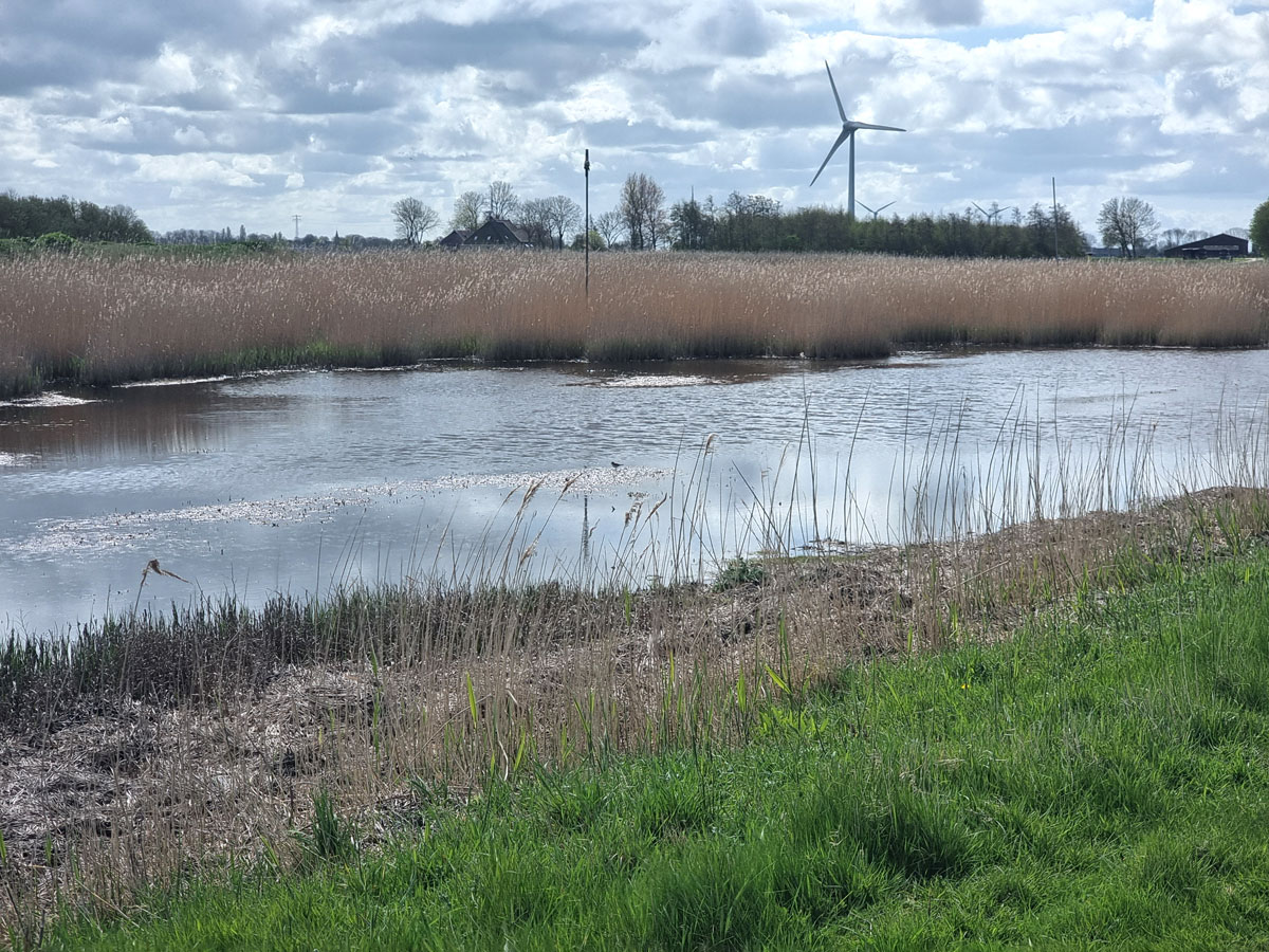 Foto van de Ried, ook wel Roptavaart genoemd