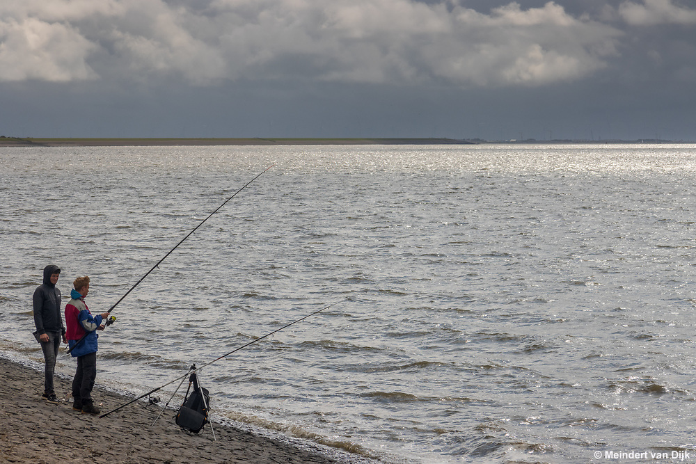 Vissen in de Waddenzee