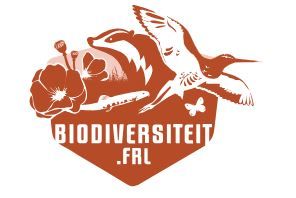 Biodiversiteit.frl | Samen herstellen wij de biodiversiteit in Fryslân