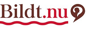 Bildt.nu